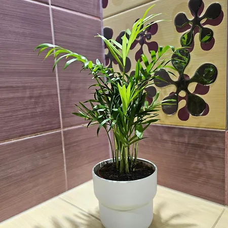 Stary Browar Apartament Poznań