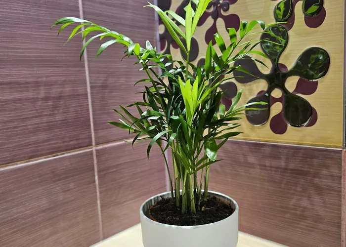 Stary Browar Apartament Poznań